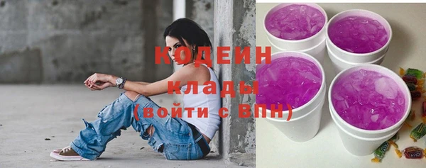 индика Бугульма