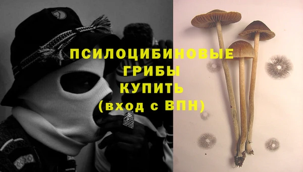MDMA Бородино