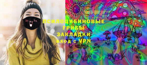шишки Семёнов