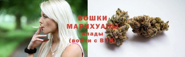 шишки Семёнов