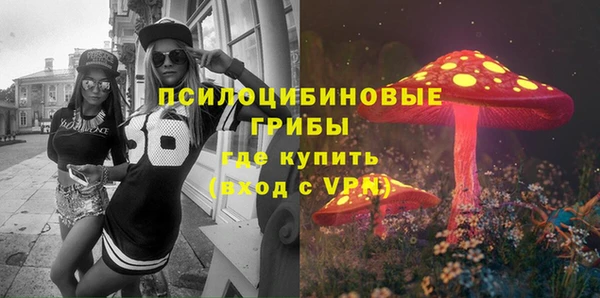 трава Бронницы