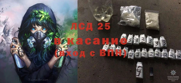 индика Бугульма