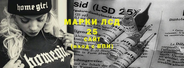 индика Бугульма